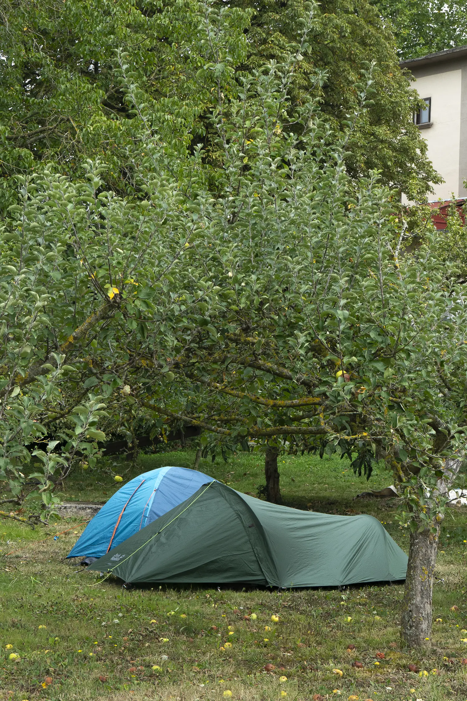 BIPoC Climate Justice Conference 2025 - Others images - RRSS_BipocConference_2025-36